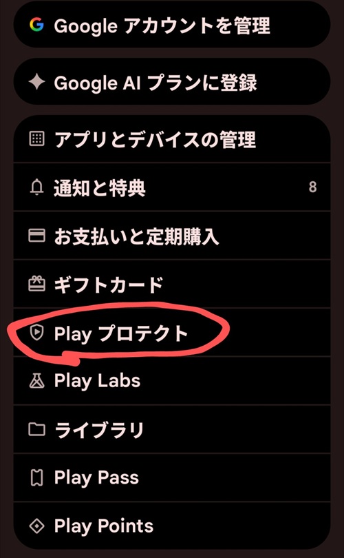 Play Protect 